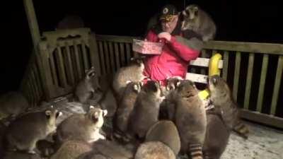 King of the Trash Pandas holding court