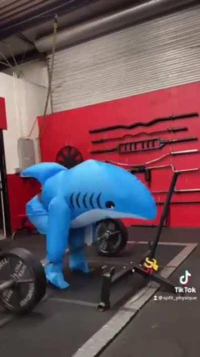 Shark skipping that cardio made me chuckle