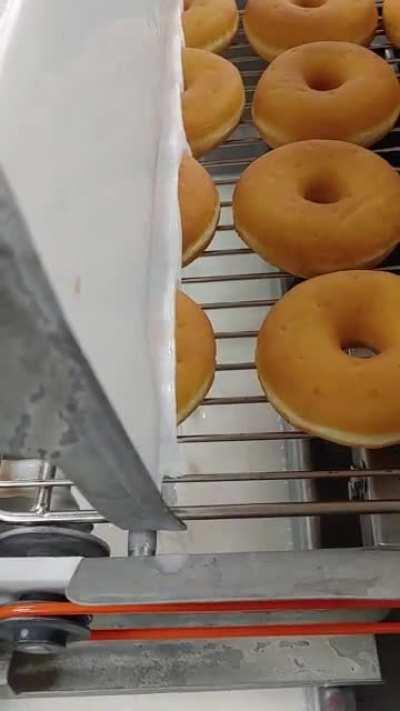 As requested, donuts being glazed with the glazing machine