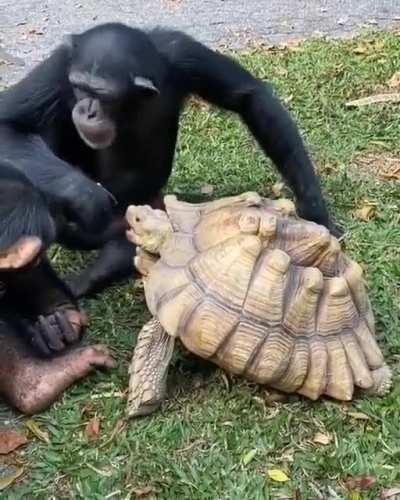 🔥 He's sharing his food 🙂 because sharing is caring