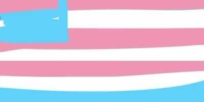 just a normal video of the transgender flag, nothing special here