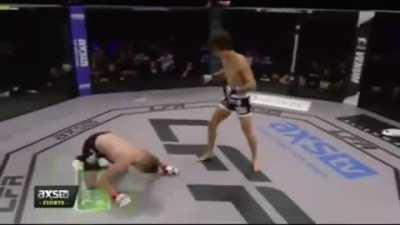 Sean O'Malley decimates David Nuzzo with a beautiful spinning hook-kick.