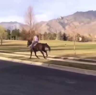 HMFT after i become the lone ranger