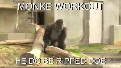 monke gym bro