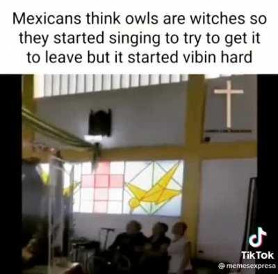 Mexicans think owls are witches so they started singing to try to get it to leave but it started vibin