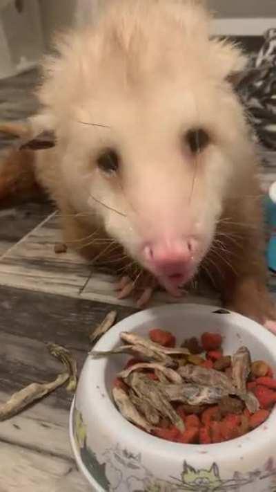 Bed head baby eating his fishes