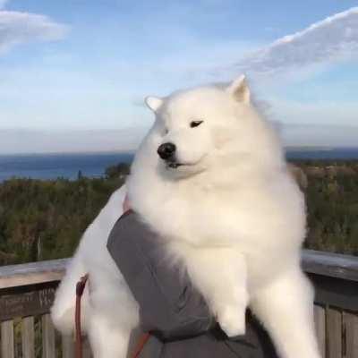 majestic cloud