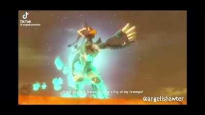 Revali's pronouns