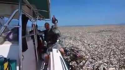 Sea Of Plastic Discovered In The Caribbean Stretches Miles And Is Choking Wildlife. THIS IS NOT OK!