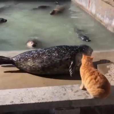 Punching a seal
