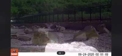 This is Utah’s first wildlife overpass crossing avoiding danger with vehicles