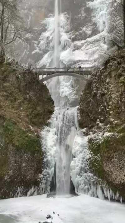 🔥 Magnificent Cascade of Icy Waters of Multnomah Falls, Oregon