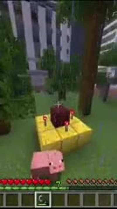 Meincraft