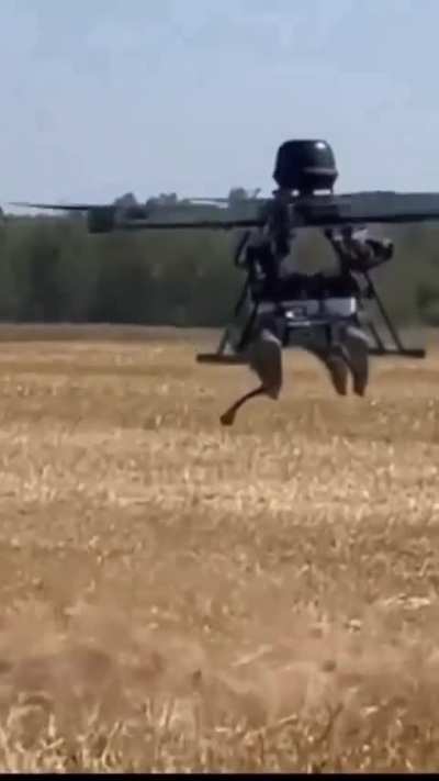 Ukraine is using &quot;Vampire&quot; drones to drop robot dogs off at the front lines