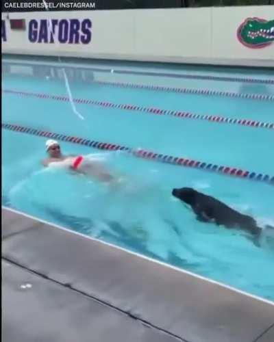 Water zoomie going for the gold with Caeleb Dressel