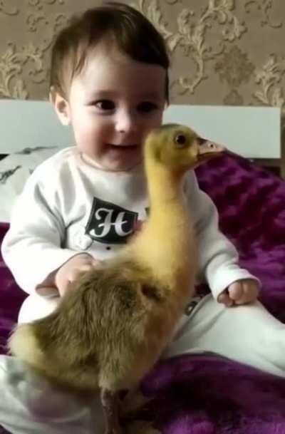 A baby and a duckling