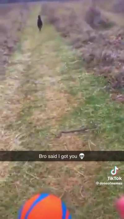 My snake people need me