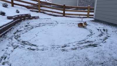 Potato celebrating the snow!