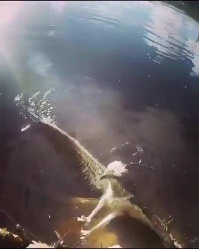 This man saved a bird that was trapped in a fishing line