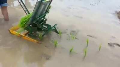 This machine that plants rice.