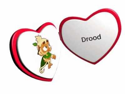 Drood