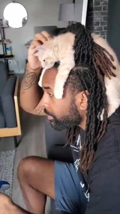 Cat in hair.