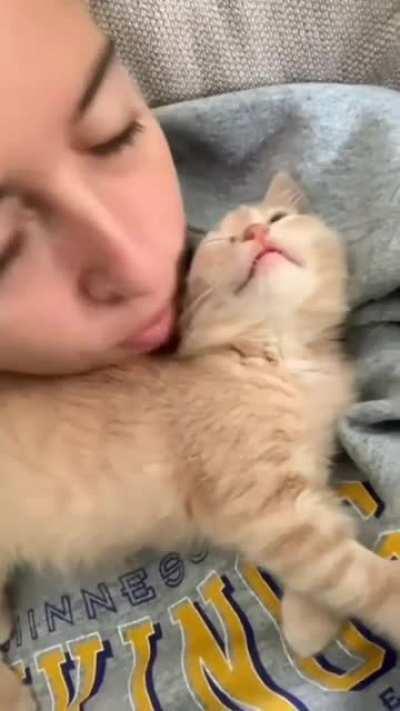 kitty wants kisses