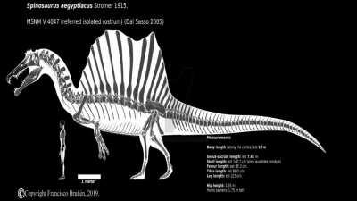 The absolute (mental) state of Spinosaurus - by Tea Common Shark