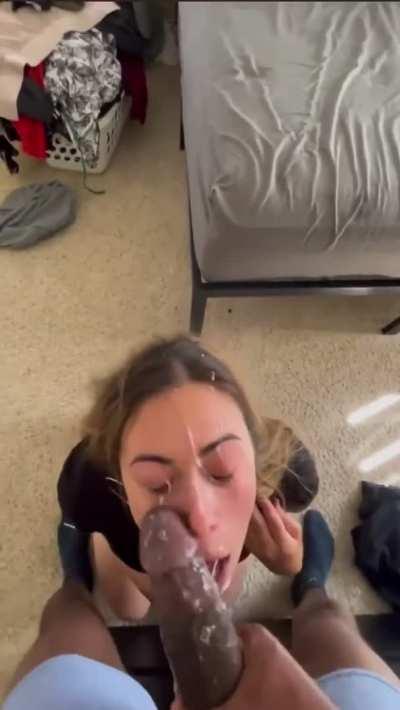 BBC Blowjob Cum Cumshot Face Fuck Facial Porn GIF by mrlancast72