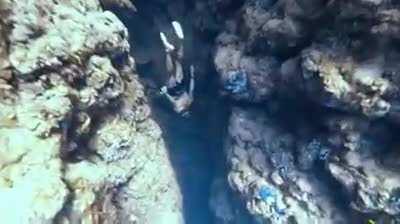 Impressive diver Diving into an underwater canyon without any oxygen tank used.