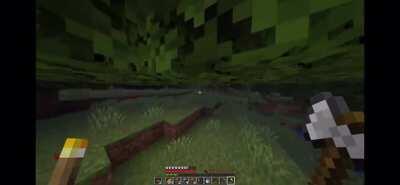 did you run through here like 10 times??