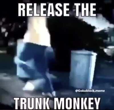 trunk monke