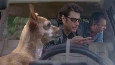 Jurassic Park but with Dog #JurassicPark