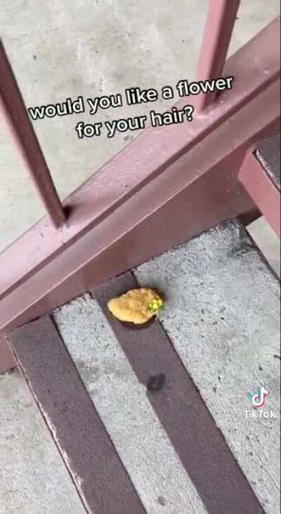 Chicken nugget on the stairs