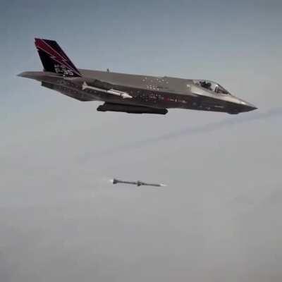 A f35 lightning fires an aim 12 amraam missile. The most modern version of this missile costs $1,020.000 and has a range of 180km. Till today 12 planes were downed by this aim 12 amraam, 6 of them Yugoslavian mig 29.[640x640]