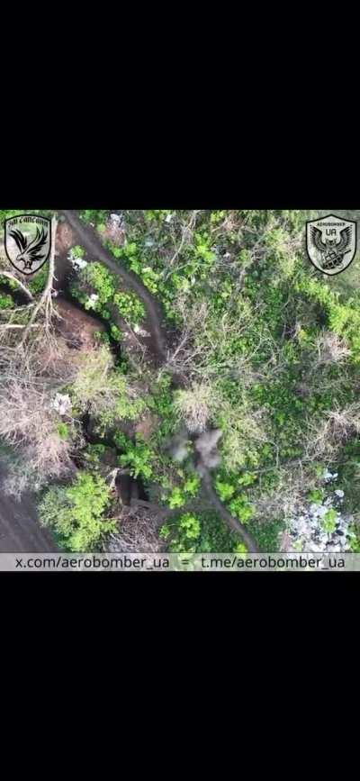 Ukranian drones drops 2 grenades on russian soldier. Location unknown. Published on 29/april/2024