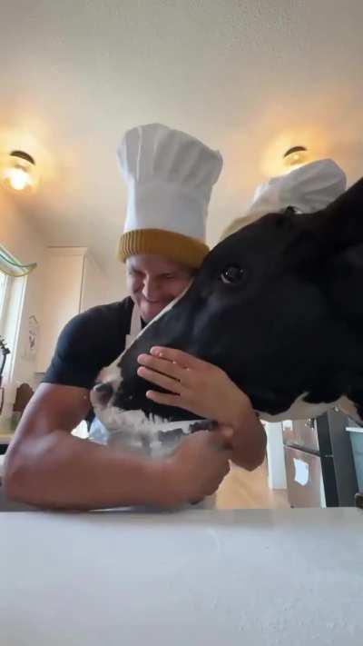 Cooking with a cow’s help
