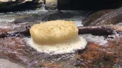 I found a round pad of river foam today and it’s mesmerizing!