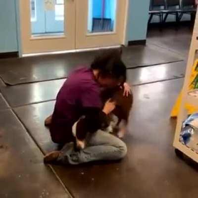 Reunion between a dog and its owner after 21 days