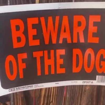 Beware of the dog…