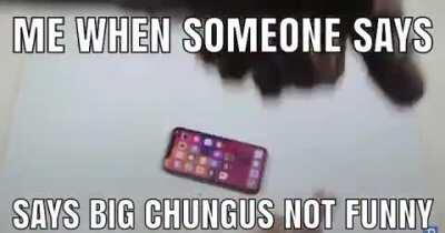 Smol chungus may be smol but his gay is big