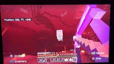 Luckiest ghast ever