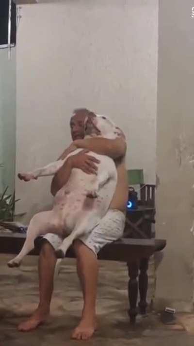 My father: I don't care about dogs here at home. My father too: