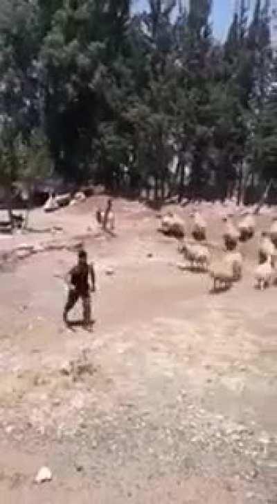 WCGW when I mess with a ram