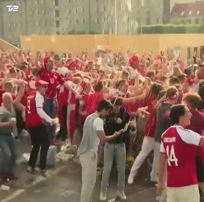 Danish fans react to 1st goal against Wales