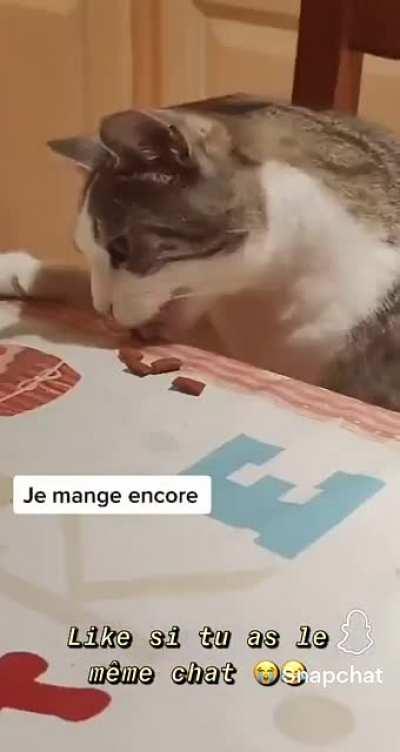 Un bon chat mérite une bonne journée