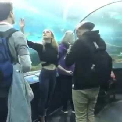 Instagram &quot;model&quot; visits aquarium