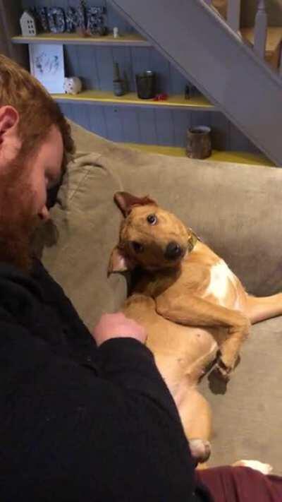 How our rescue pup looks at my husband