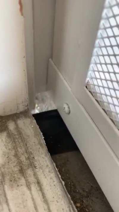 What is that moving?