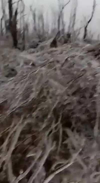 Ukrainian trench covered in ICE